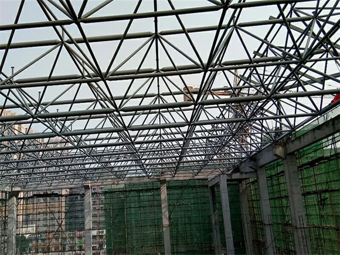 双城光谷第十一小学网架